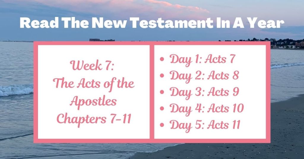 Read the New Testament in a Year: Week 7 – Acts of the Apostles Chapters&nbsp;7-11