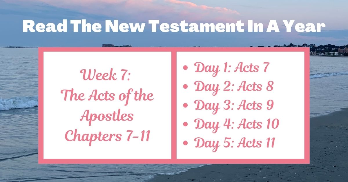 Read the New Testament in a Year: Week 7 – Acts of the Apostles Chapters&nbsp;7-11
