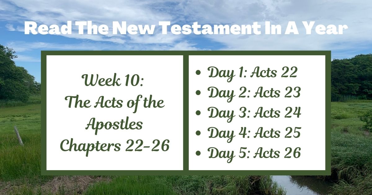 Read the New Testament in a Year: Week 10 – Acts of the Apostles Chapters&nbsp;22-26