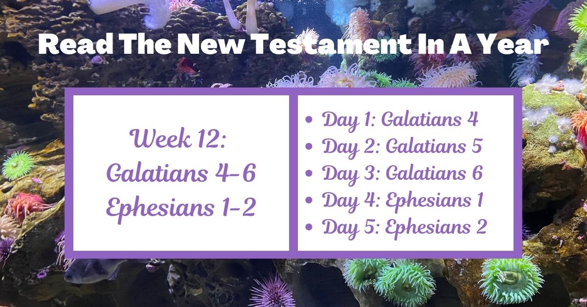 Read the New Testament in a Year: Week 12 – Galatians 4-6 and Ephesians&nbsp;1-2