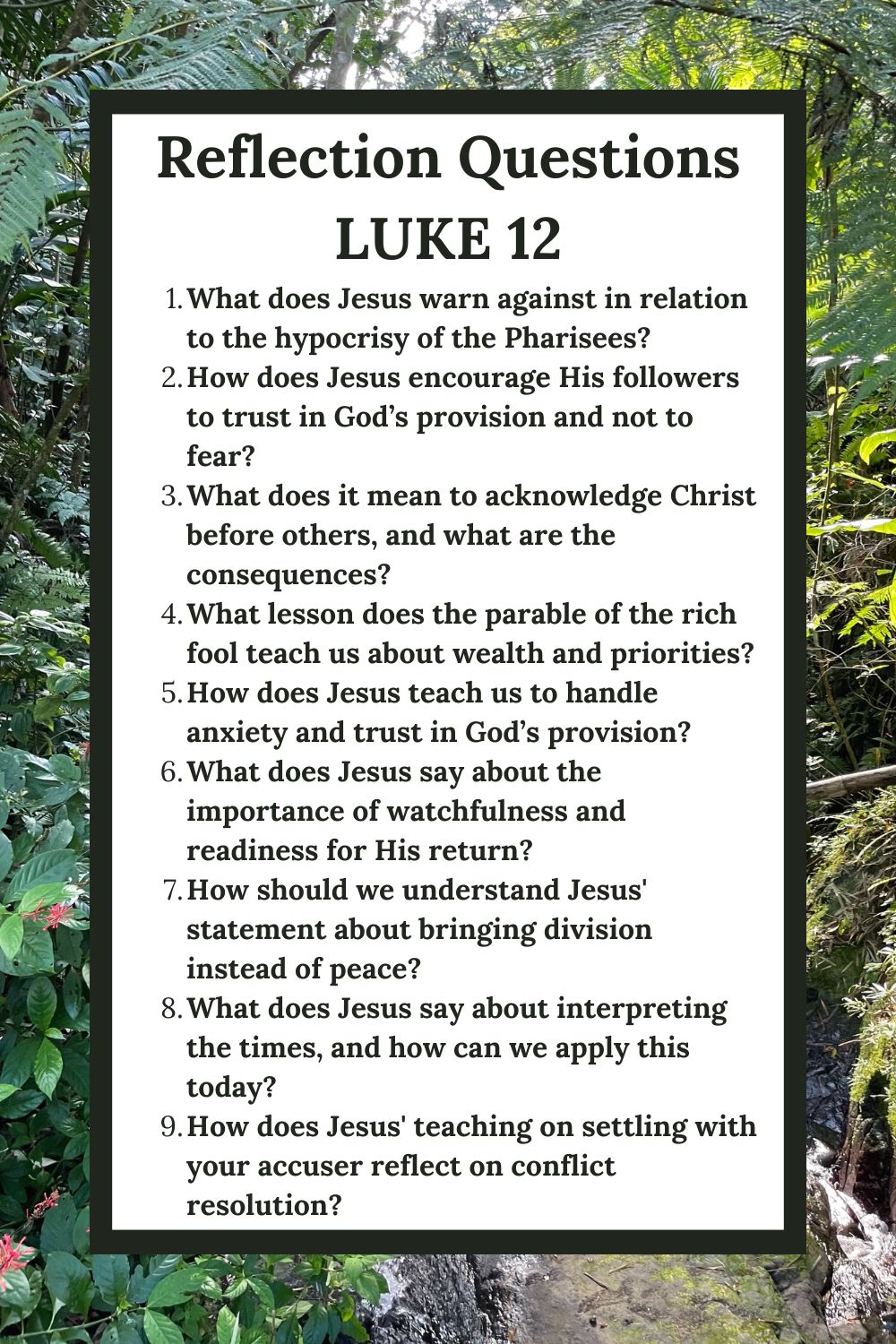 Reflection Questions for Luke 12