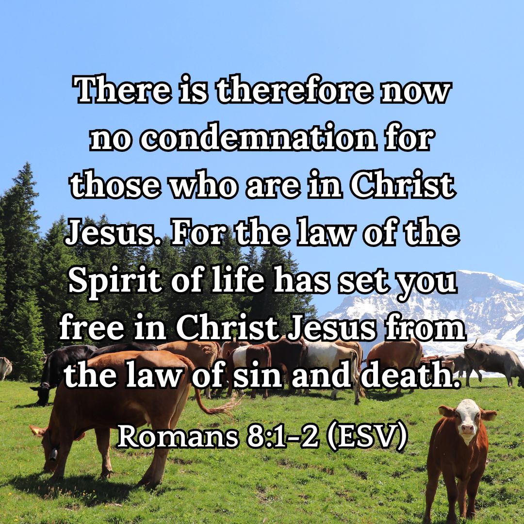 Romans 8:1-2 (ESV)
