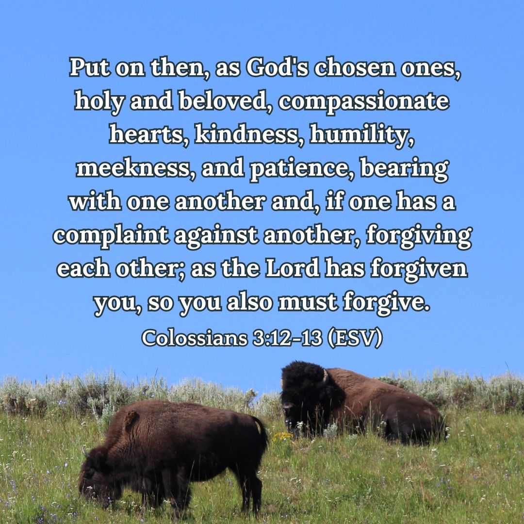 Colossians 3:12-13 (ESV)