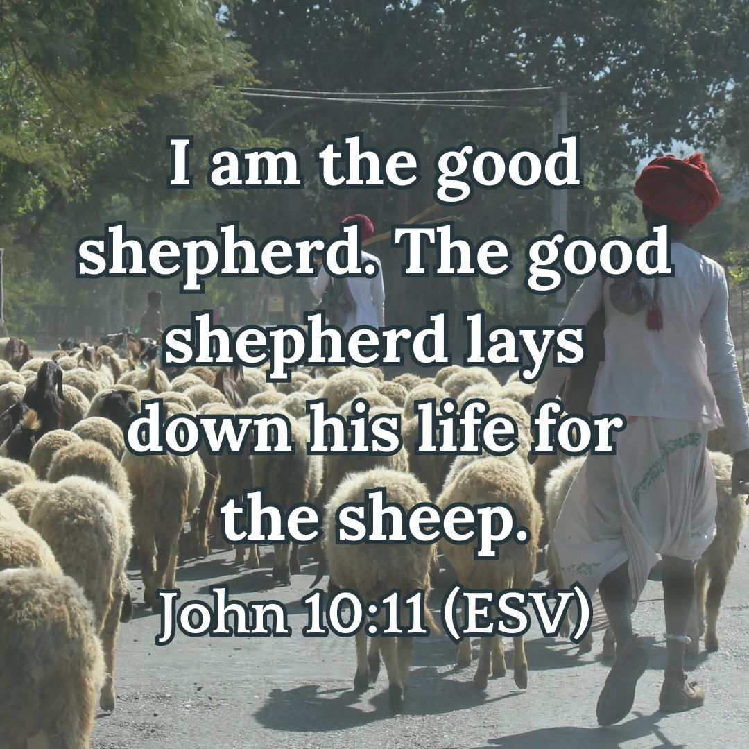 John 10:11 (ESV)