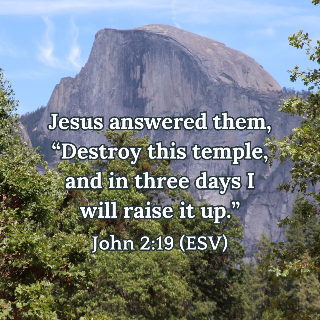 John 2:19 (ESV)