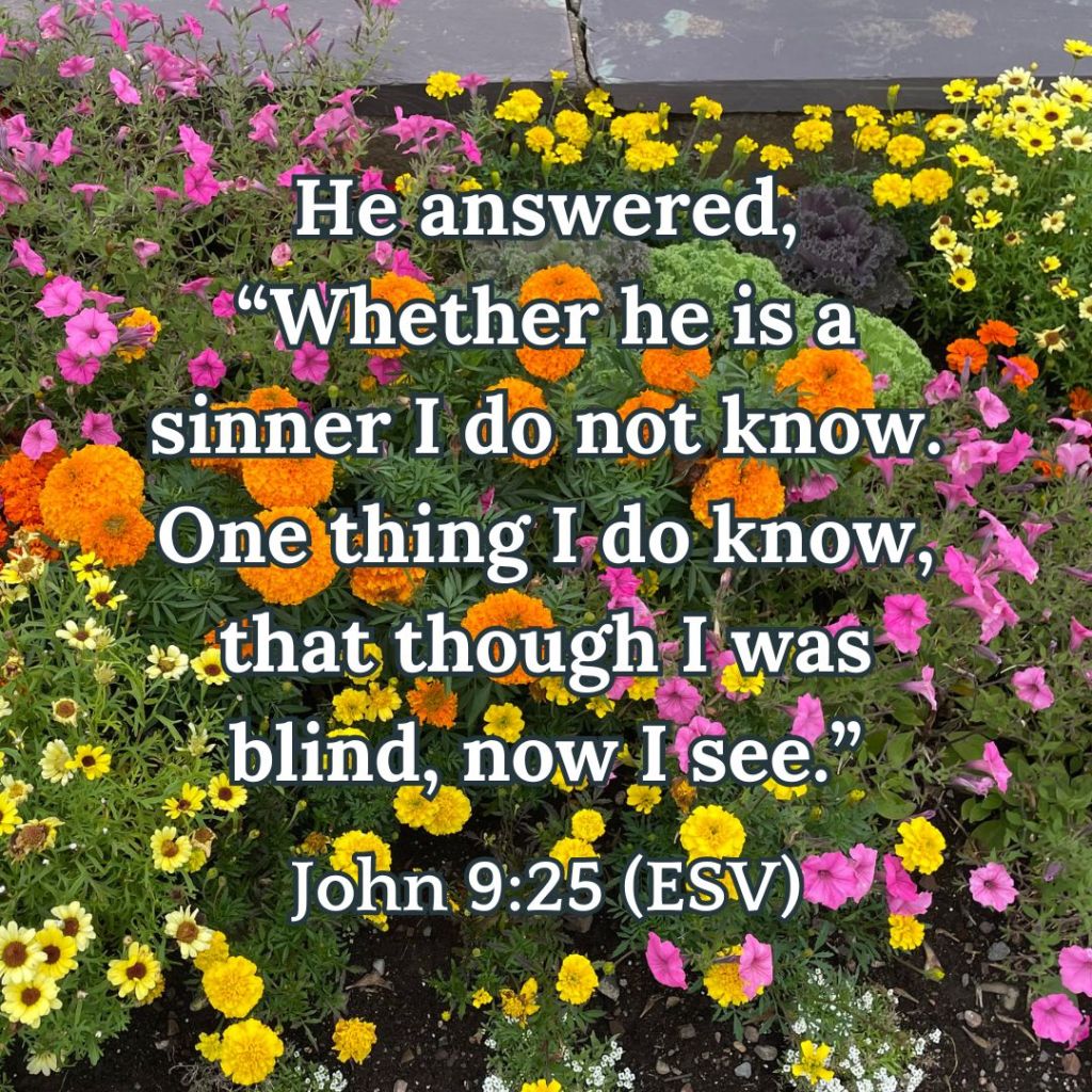 Read the New Testament in a Year: Week 20 – The Gospel of John Chapters ...