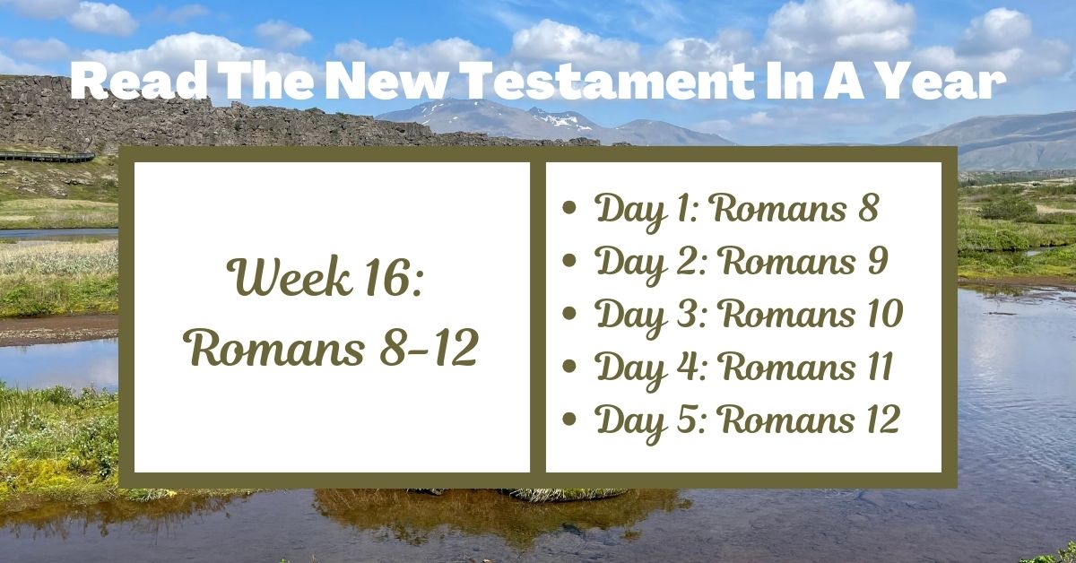 Read the New Testament in a Year: Week 16 – Romans&nbsp;8-12