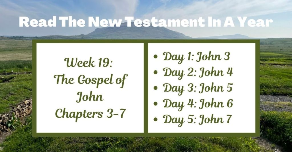 Read the New Testament in a Year: Week 19 - The Gospel of John Chapters 3-7
