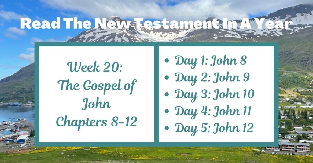 Read the New Testament in a Year: Week 20 - The Gospel of John Chapters 8-12