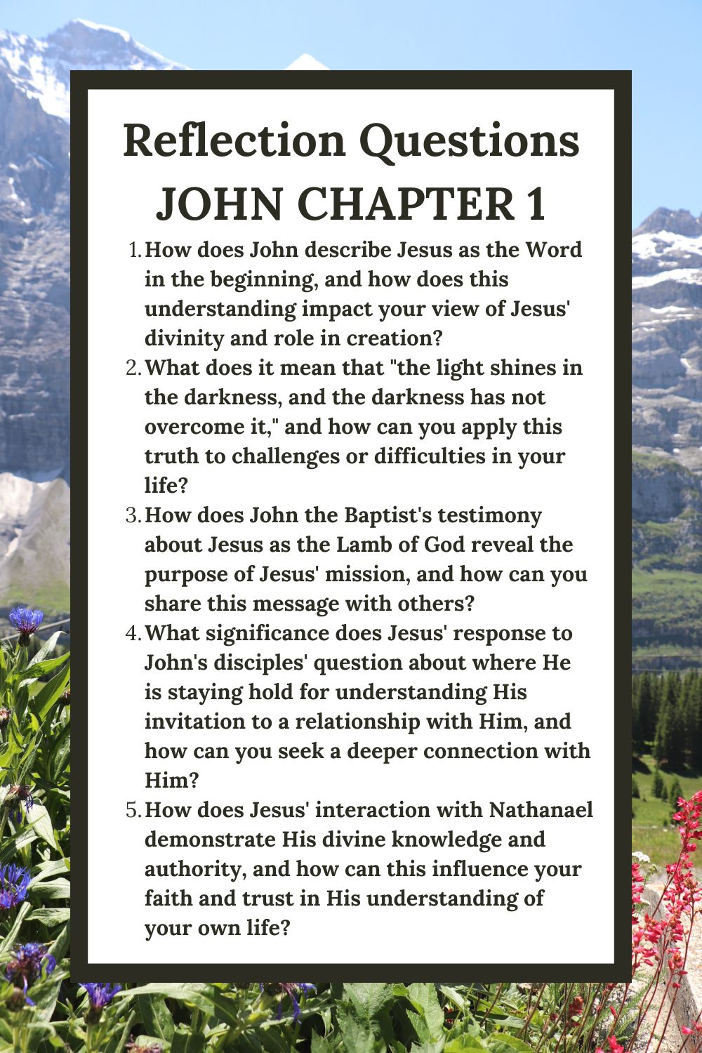 Reflection Questions for John 1