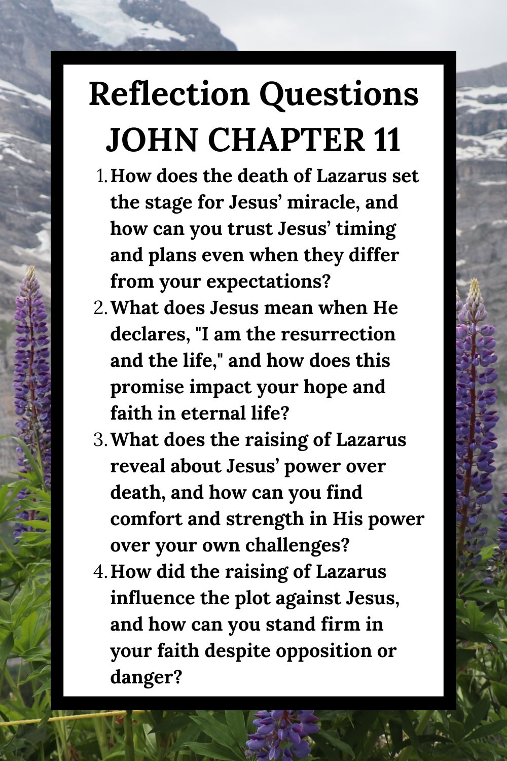 Reflection Questions for John Chapter 11