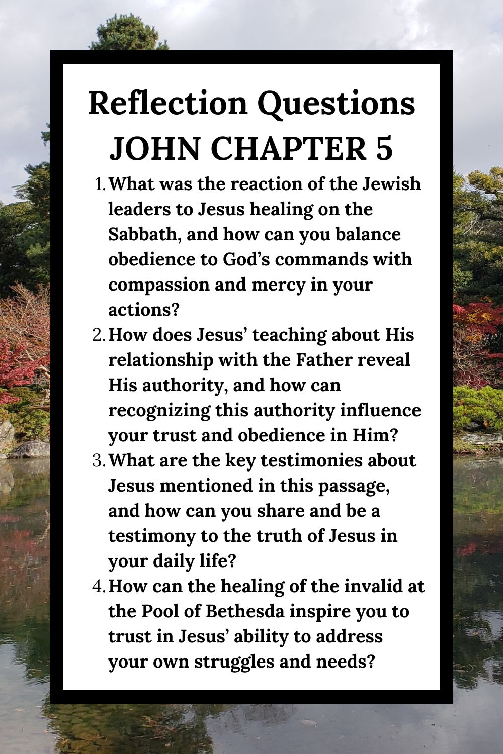 Reflection Questions for John Chapter 5