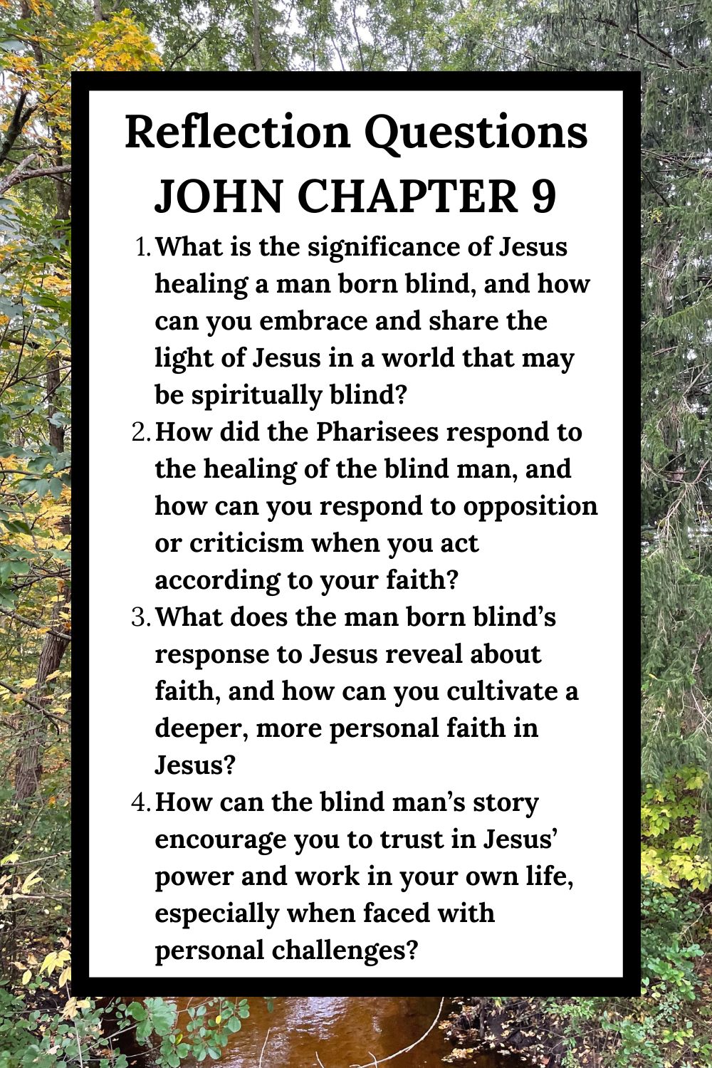 Reflection Questions for John Chapter 9