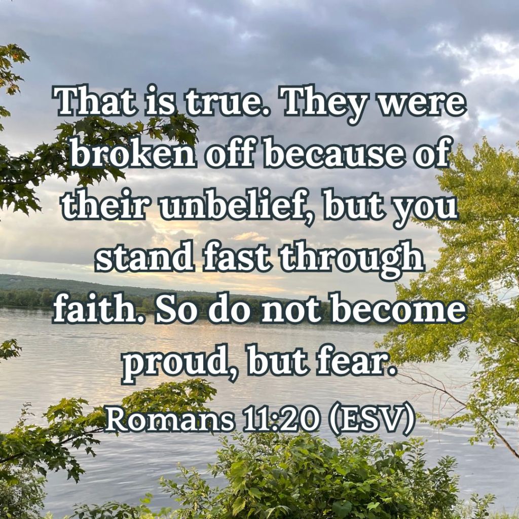 Read the New Testament in a Year: Week 16 – Romans 8-12 – Joyful ...