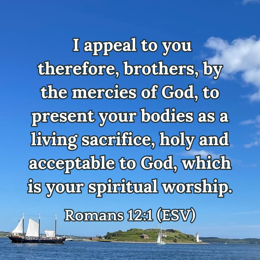 Read the New Testament in a Year: Week 16 – Romans 8-12 – Joyful ...