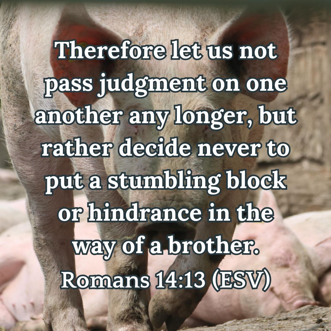 Romans 14:13 (ESV)