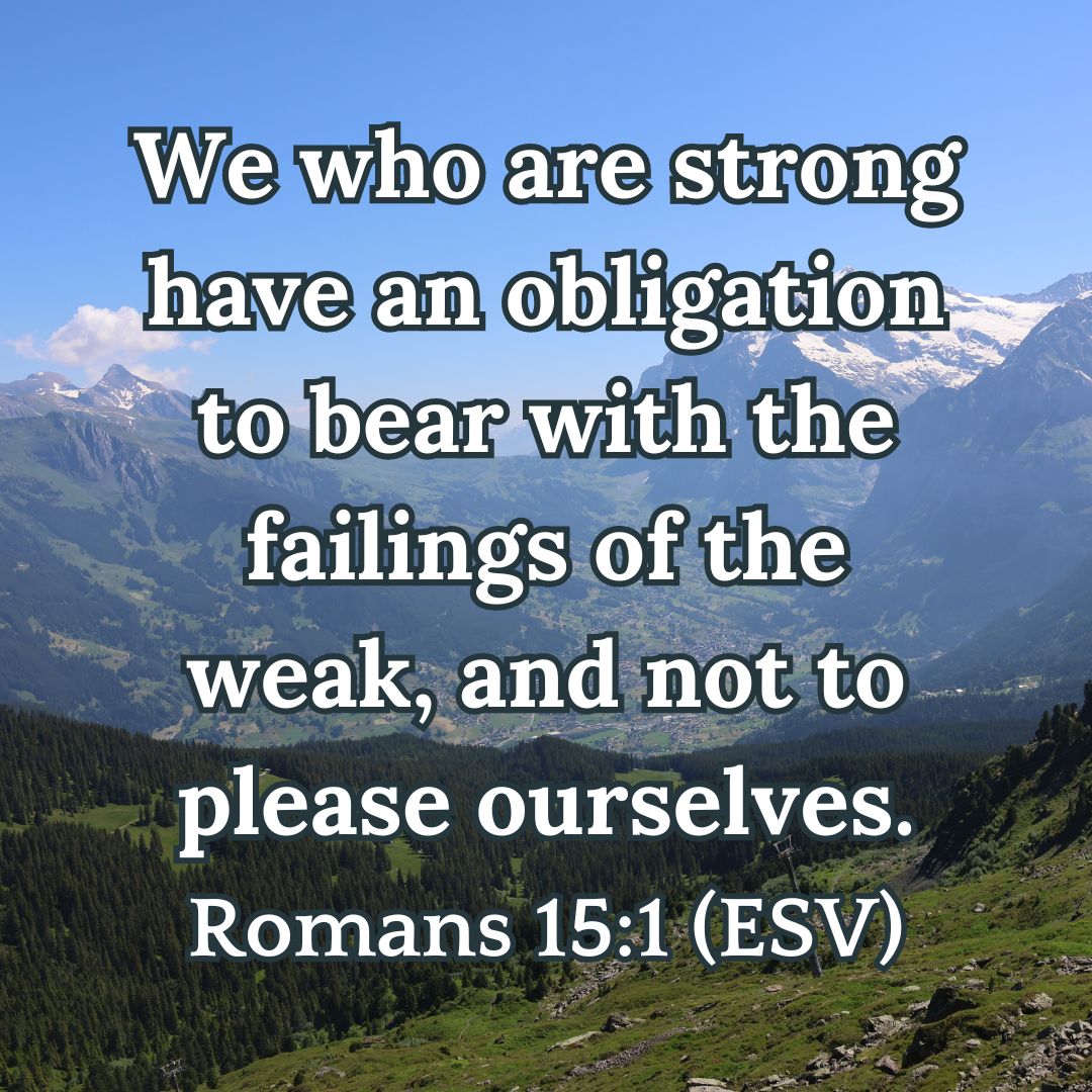 Romans 15:1 (ESV)