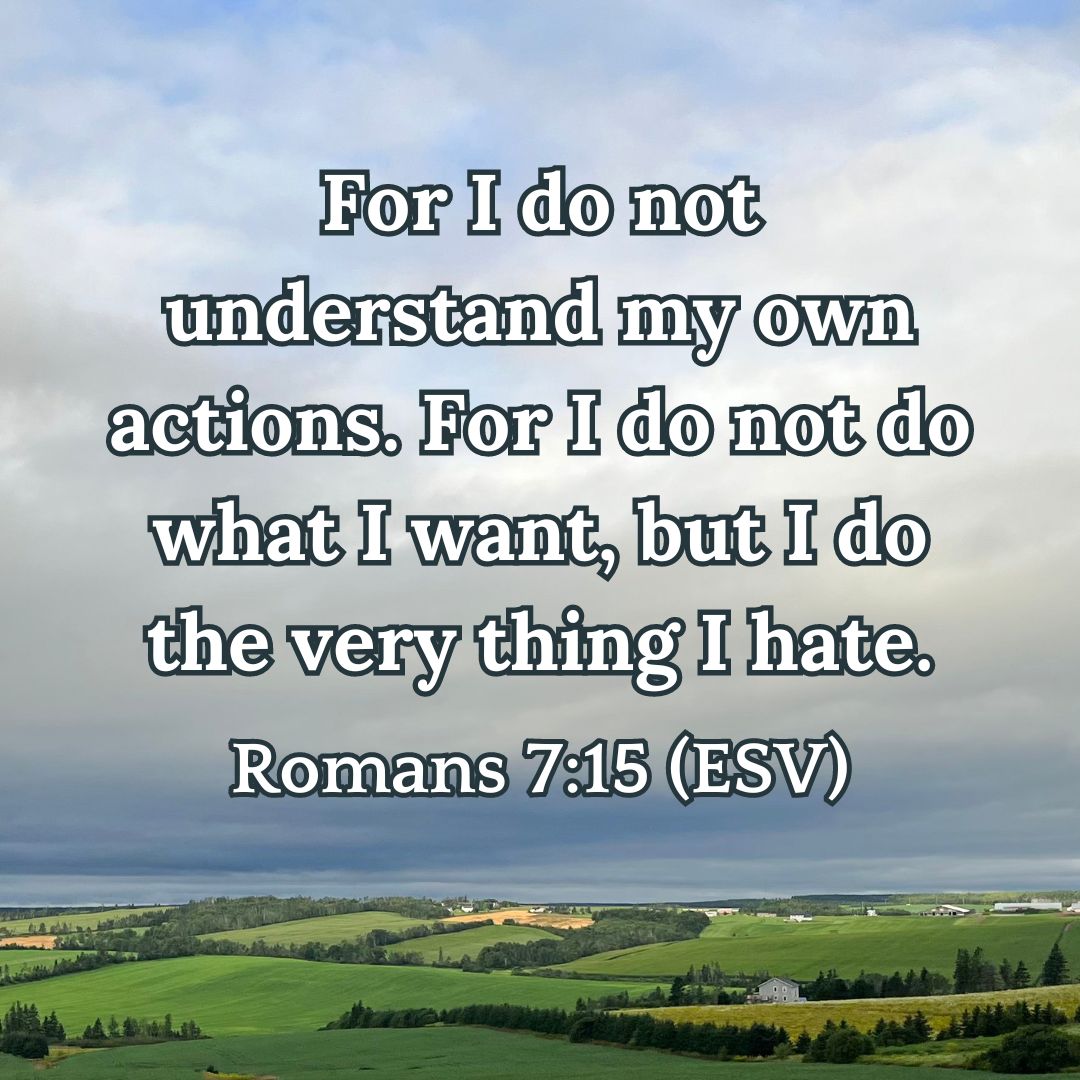 Romans 7:15 (ESV)