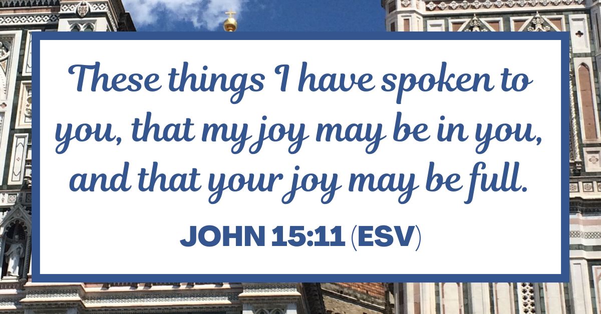 John 15:11 (ESV)