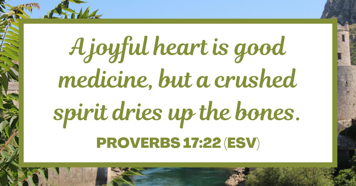 Proverbs 17:22 (ESV)