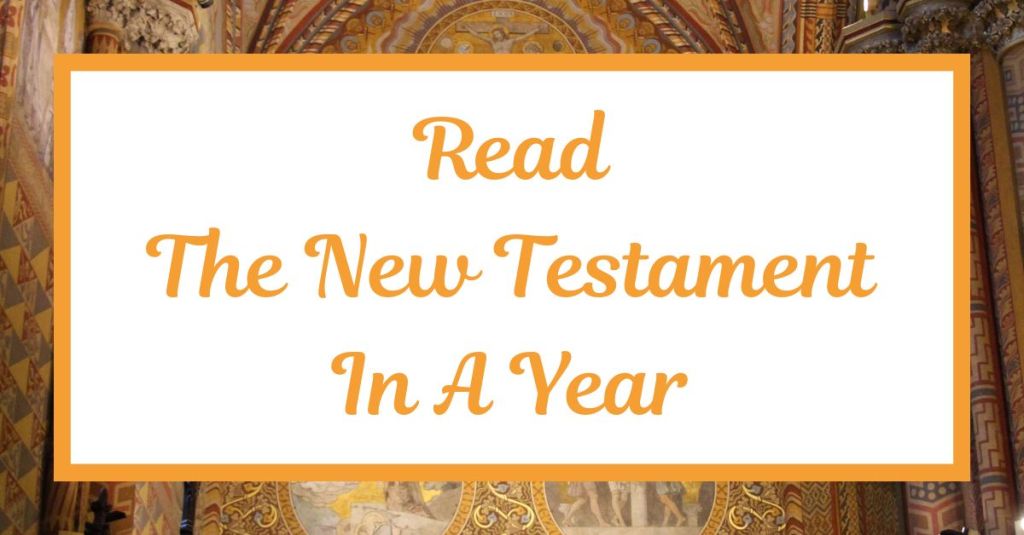 Read the New Testament in a Year