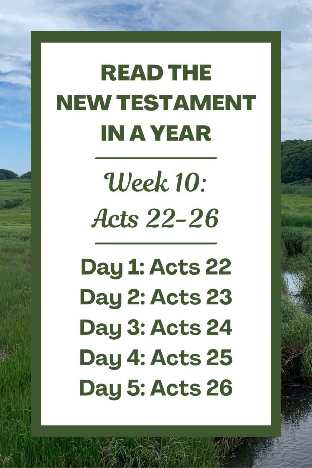 Read the New Testament in a Year: Week 10 - Acts of the Apostles Chapters 22-26