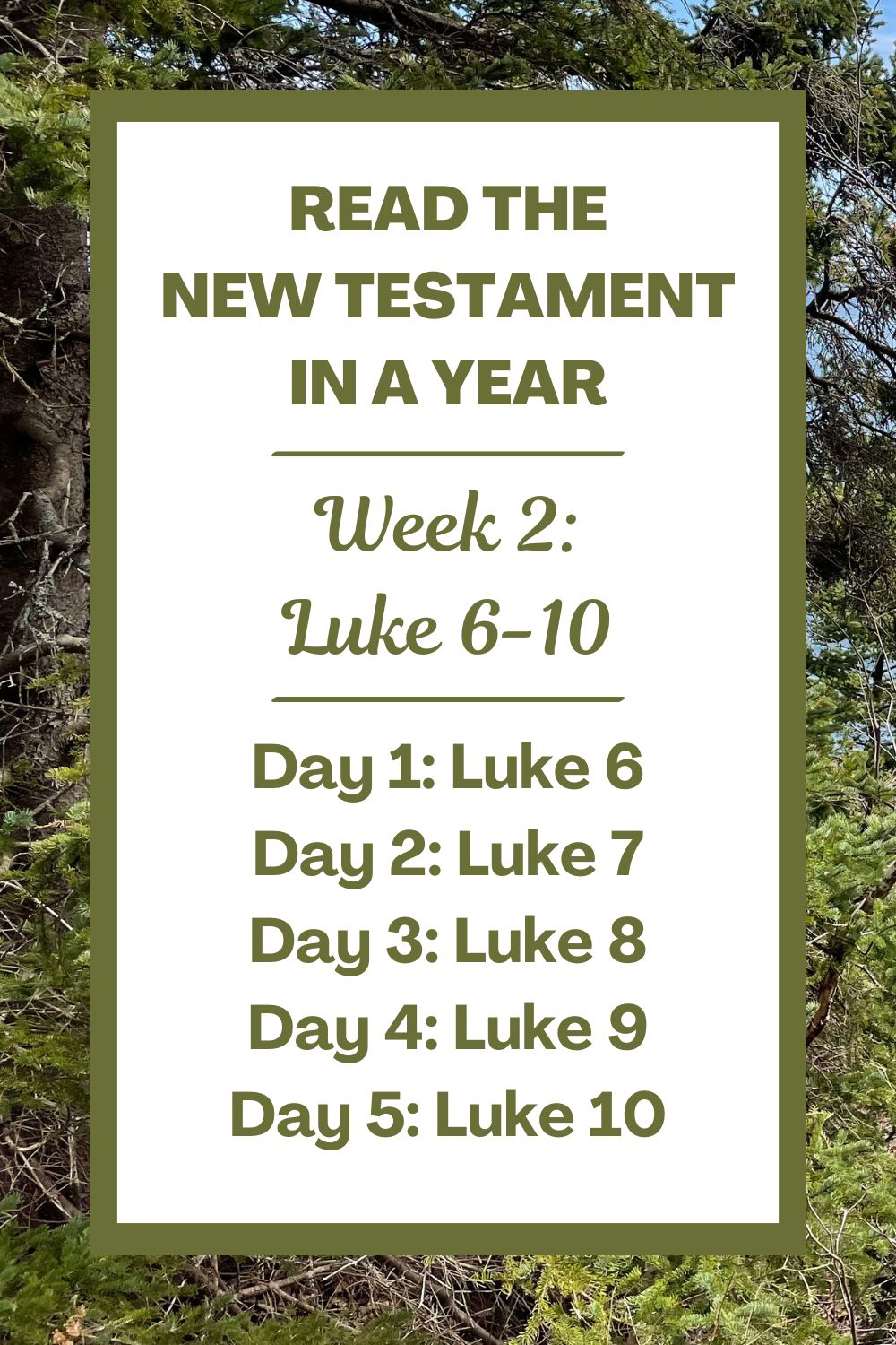 Read the New Testament in a Year: Week 2 – The Gospel of Luke Chapters ...