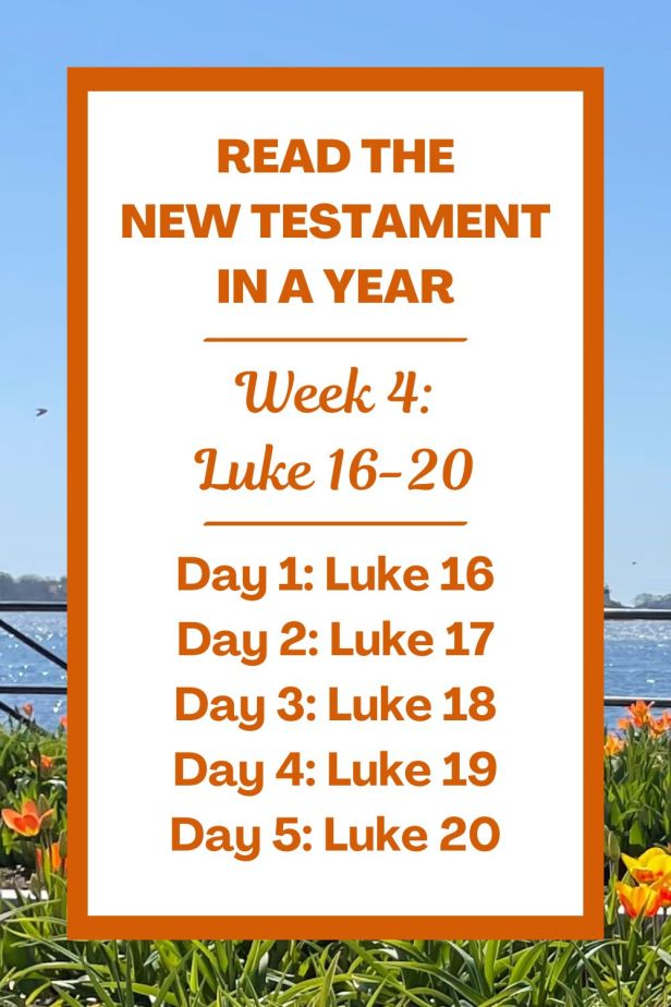 Read the New Testament in a Year: Week 4 - The Gospel of Luke Chapters 16-20