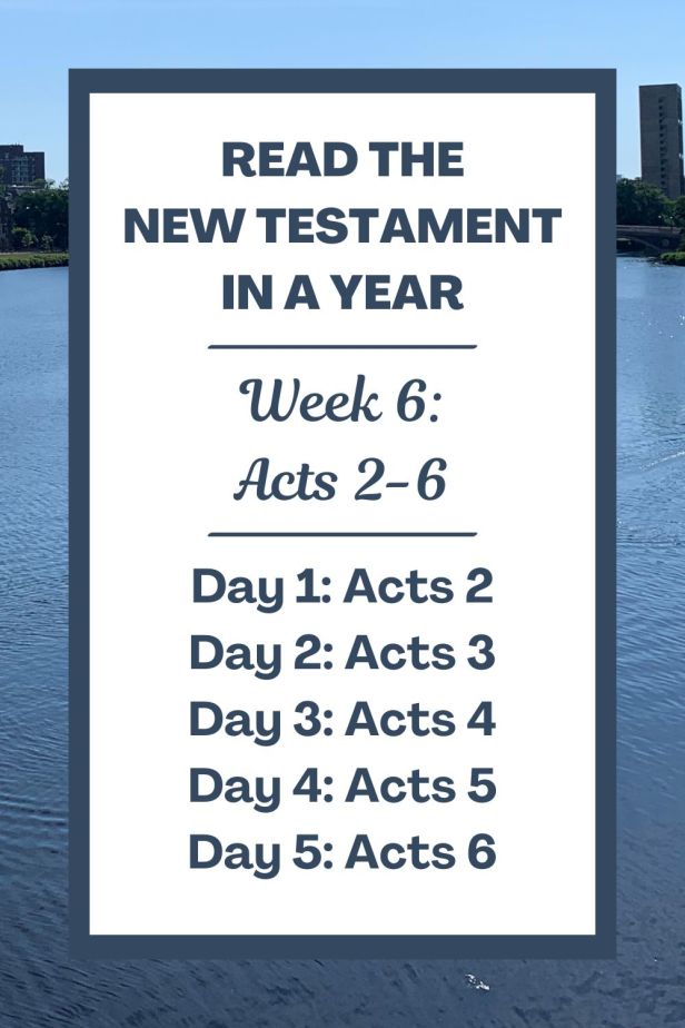 Read the New Testament in a Year: Week 6 - Acts 2-6