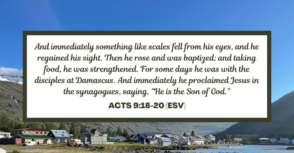 And immediately something like scales fell from his eyes, and he regained his sight. Then he rose and was baptized; and taking food, he was strengthened. For some days he was with the disciples at Damascus. And immediately he proclaimed Jesus in the synagogues, saying, “He is the Son of God.” - Acts 9:18-20 (ESV)