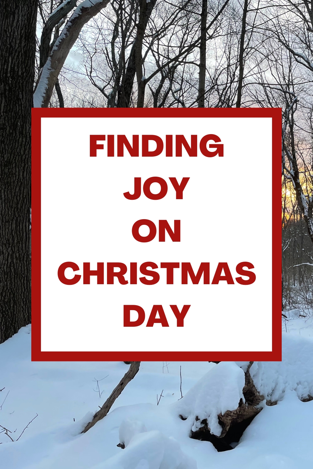 Finding Joy on Christmas Day