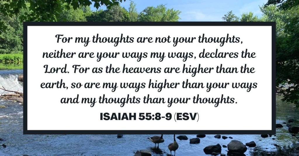 For my thoughts are not your thoughts, neither are your ways my ways, declares the Lord. For as the heavens are higher than the earth, so are my ways higher than your ways and my thoughts than your thoughts. - Isaiah 55:8-9 (ESV)