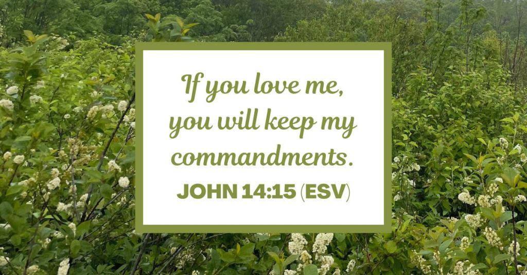 If you love me, you will keep my commandments. - John 14:15 (ESV)