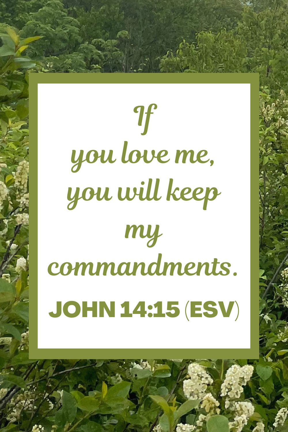 If you love me, you will keep my commandments. - John 14:15 (ESV)