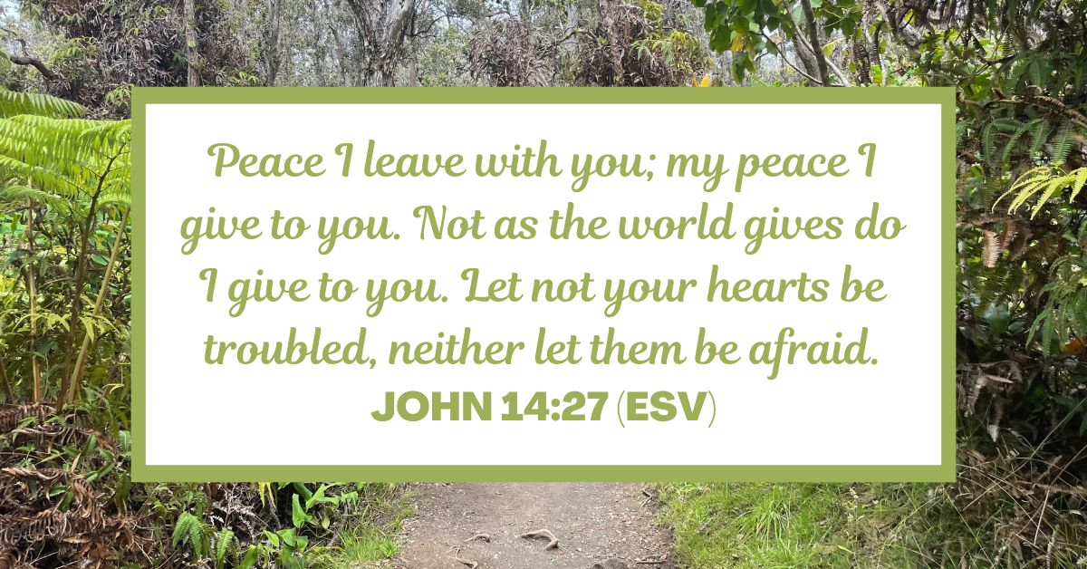 Peace I leave with you; my peace I give to you. Not as the world gives do I give to you. Let not your hearts be troubled, neither let them be afraid. - John 14:27 (ESV)