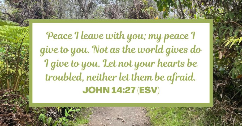 Peace I leave with you; my peace I give to you. Not as the world gives do I give to you. Let not your hearts be troubled, neither let them be afraid. - John 14:27 (ESV)