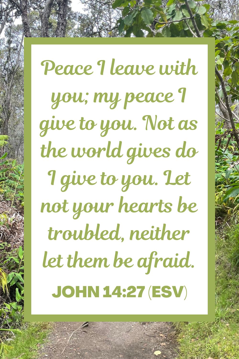 Peace I leave with you; my peace I give to you. Not as the world gives do I give to you. Let not your hearts be troubled, neither let them be afraid. - John 14:27 (ESV)