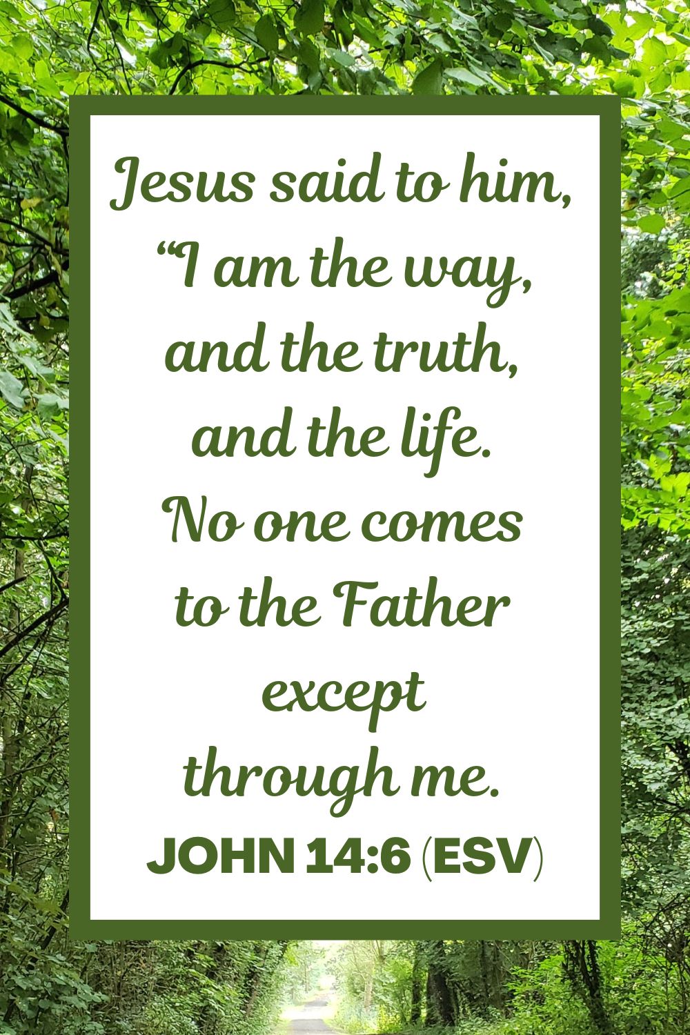 Jesus said to him, “I am the way, and the truth, and the life. No one comes to the Father except through me. - John 14:6 (ESV)
