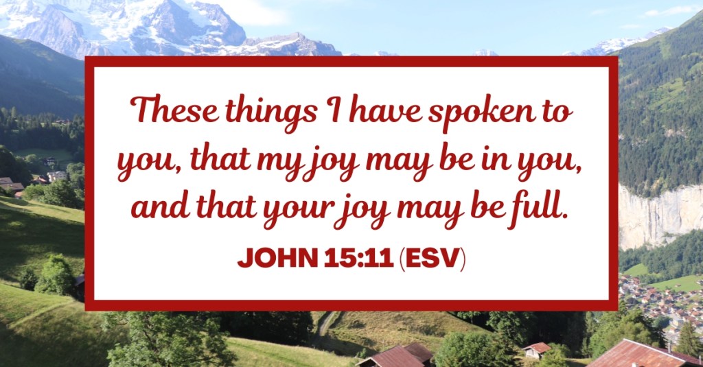 These things I have spoken to you, that my joy may be in you, and that your joy may be full. - John 15:11 (ESV)