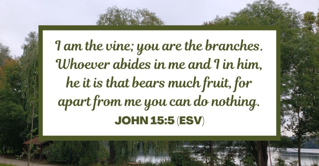 I am the vine; you are the branches. Whoever abides in me and I in him, he it is that bears much fruit, for apart from me you can do nothing. - John 15:5 (ESV)