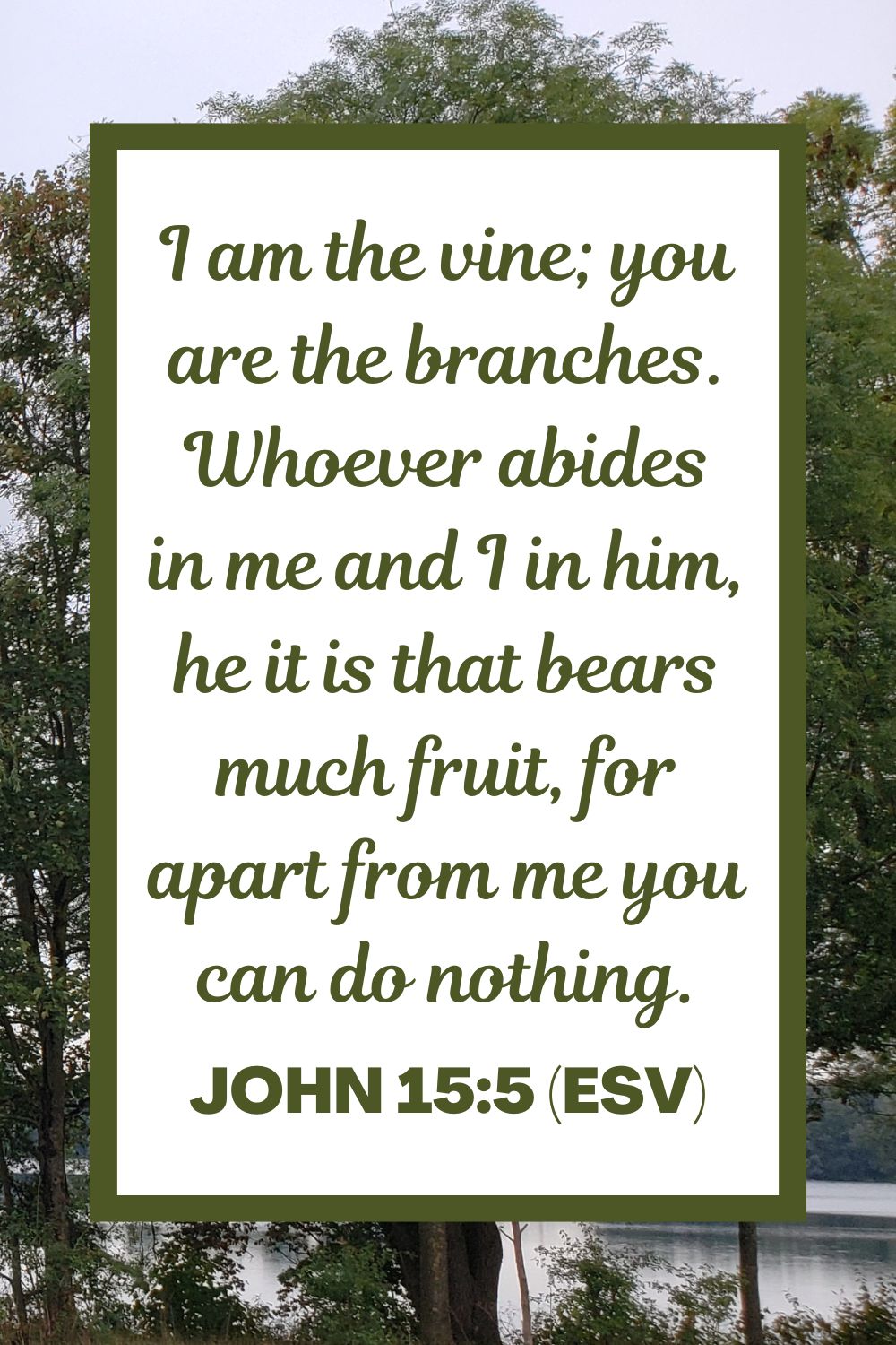 I am the vine; you are the branches. Whoever abides in me and I in him, he it is that bears much fruit, for apart from me you can do nothing. - John 15:5 (ESV)