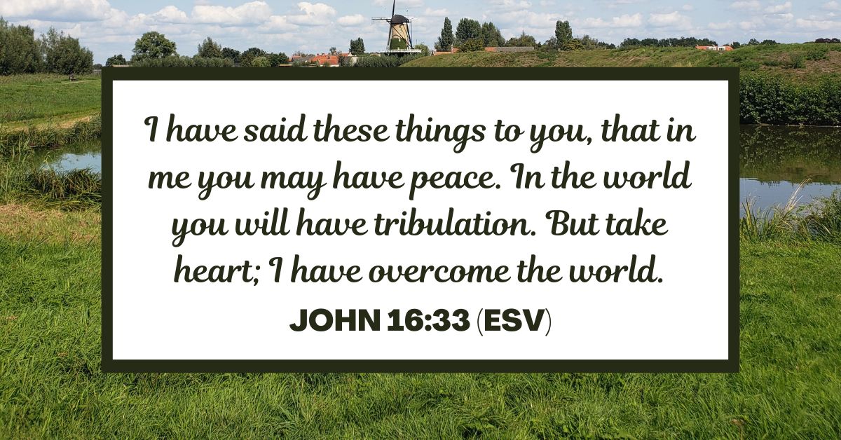 I have said these things to you, that in me you may have peace. In the world you will have tribulation. But take heart; I have overcome the world. - John 16:33 (ESV)