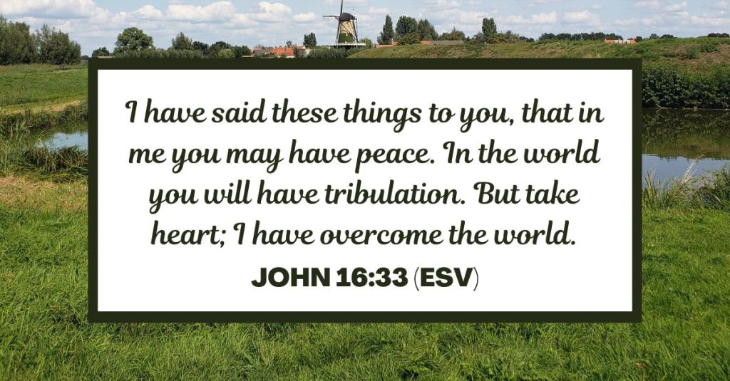 I have said these things to you, that in me you may have peace. In the world you will have tribulation. But take heart; I have overcome the world. - John 16:33 (ESV)