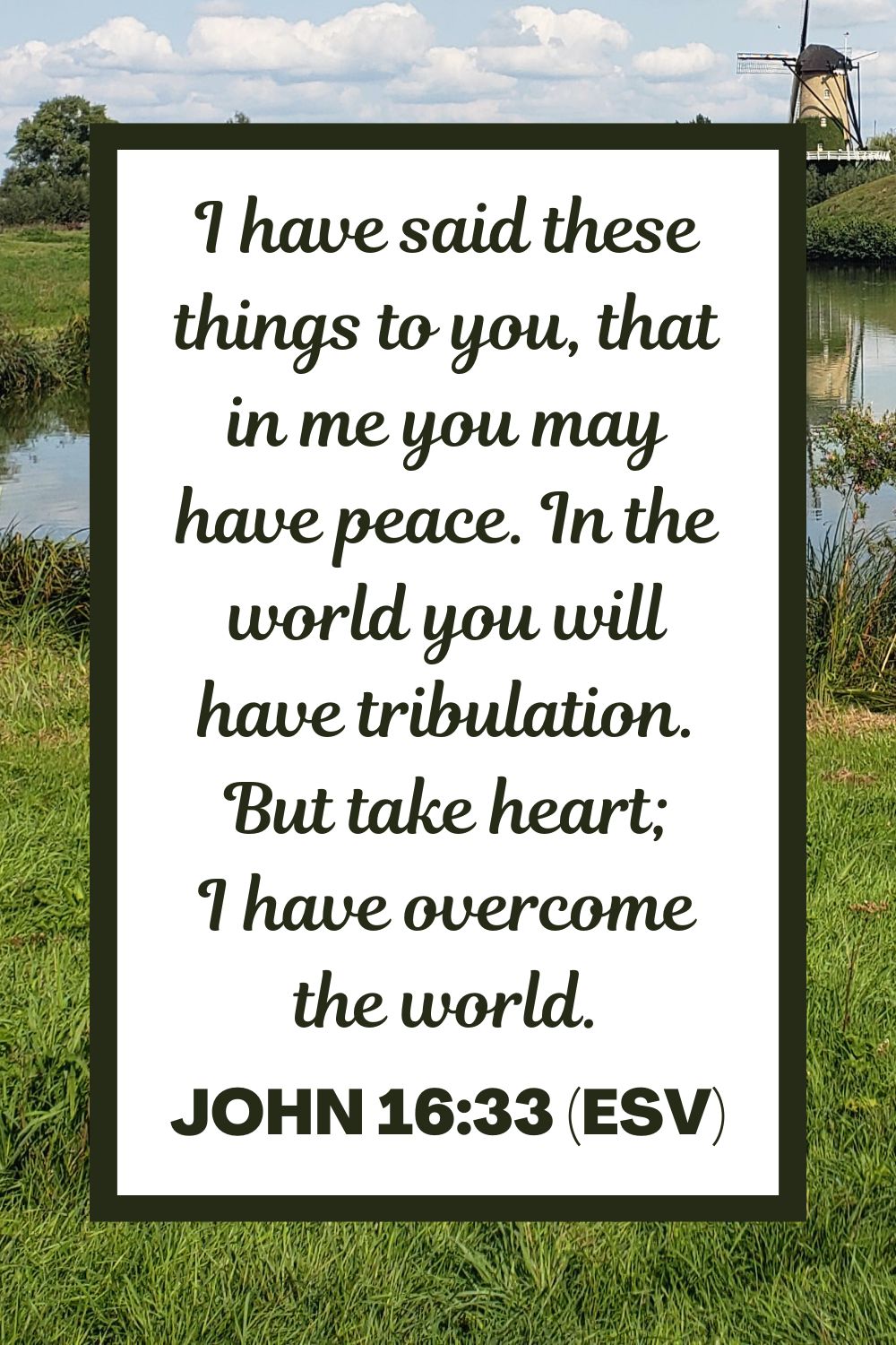 I have said these things to you, that in me you may have peace. In the world you will have tribulation. But take heart; I have overcome the world. - John 16:33 (ESV)