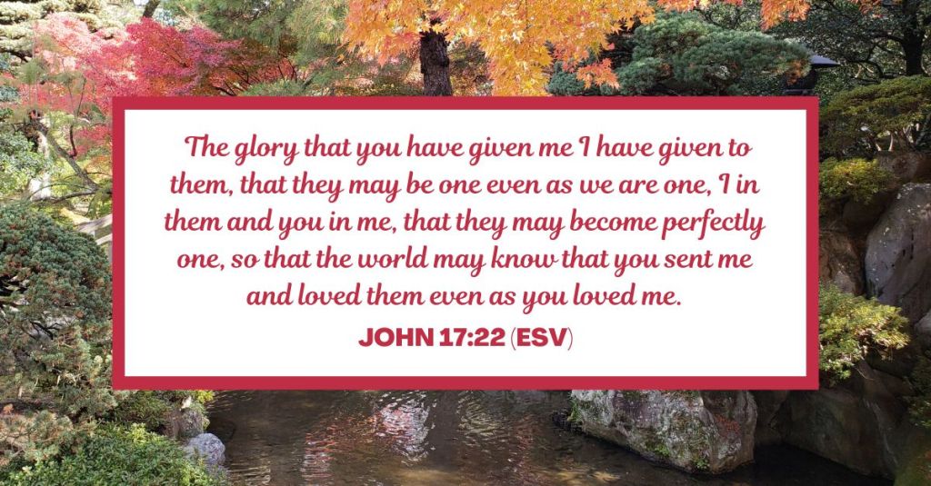  The glory that you have given me I have given to them, that they may be one even as we are one, I in them and you in me, that they may become perfectly one, so that the world may know that you sent me and loved them even as you loved me. - John 17:22 (ESV)
