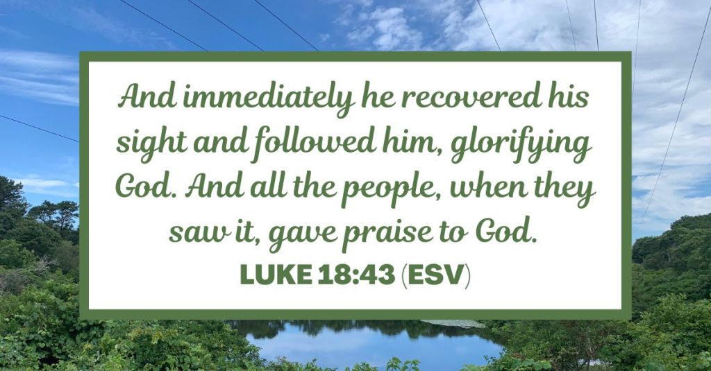 And immediately he recovered his sight and followed him, glorifying God. And all the people, when they saw it, gave praise to God. - Luke 18:43 (ESV)