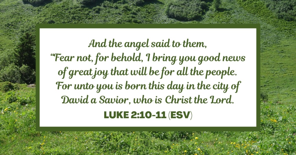 And the angel said to them, “Fear not, for behold, I bring you good news of great joy that will be for all the people. For unto you is born this day in the city of David a Savior, who is Christ the Lord. - Luke 2:10-11 (ESV)