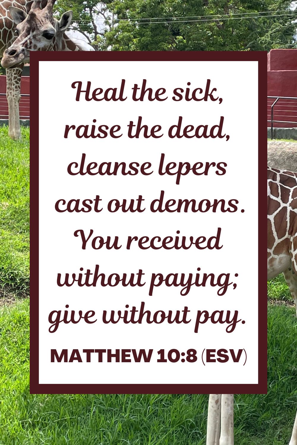Heal the sick, raise the dead, cleanse lepers, cast out demons. You received without paying; give without pay. - Matthew 10:8 (ESV)