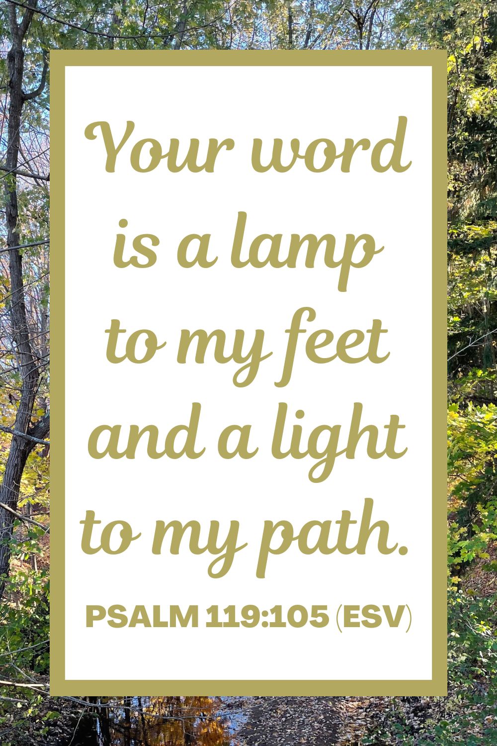 Psalm 119:105 (ESV): "Your word is a lamp to my feet and a light to my path."