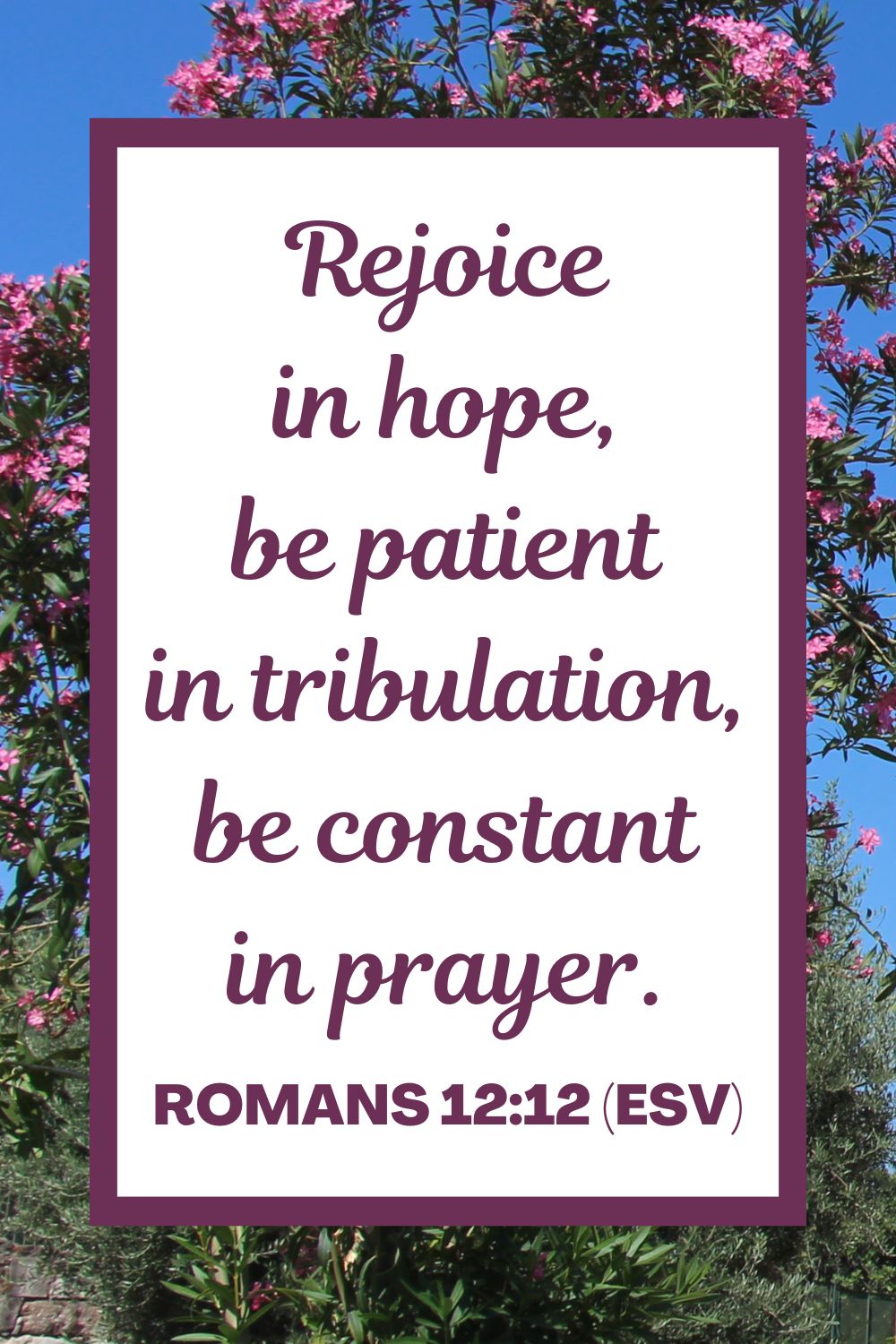 Rejoice in hope, be patient in tribulation, be constant in prayer. - Romans 12:12 (ESV)
